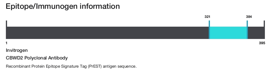 CBWD2 Polyclonal Antibody