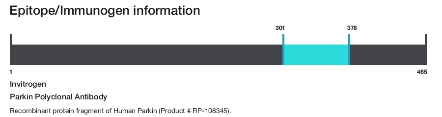 Parkin Polyclonal Antibody