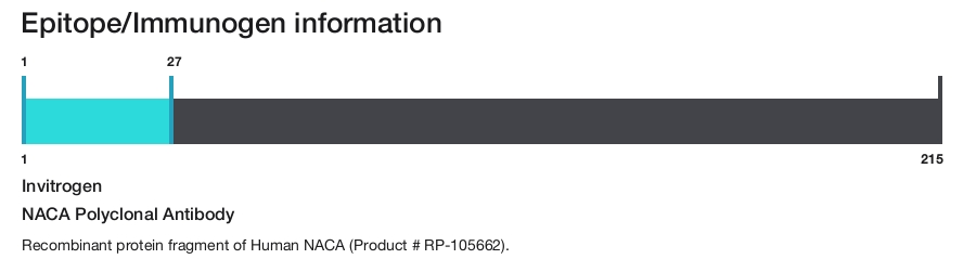NACA Polyclonal Antibody