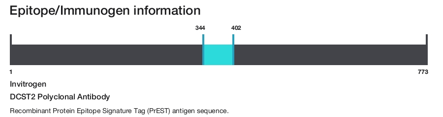 DCST2 Polyclonal Antibody