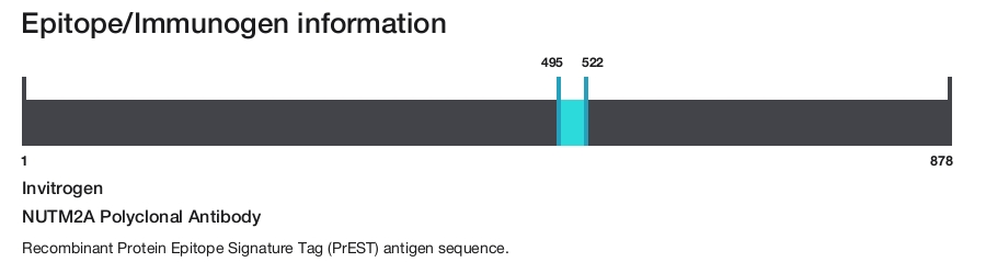 NUTM2A Polyclonal Antibody