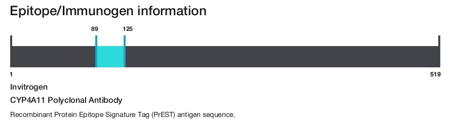 CYP4A11 Polyclonal Antibody