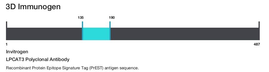 LPCAT3 Polyclonal Antibody