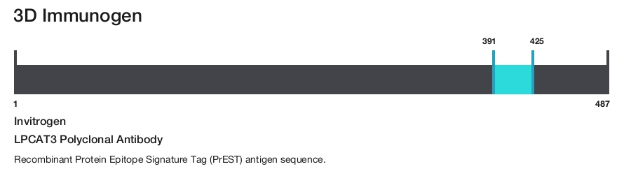 LPCAT3 Polyclonal Antibody