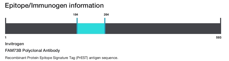 FAM73B Polyclonal Antibody