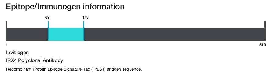 IRX4 Polyclonal Antibody