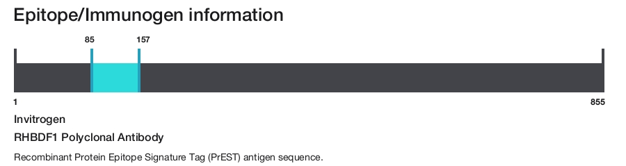 RHBDF1 Polyclonal Antibody