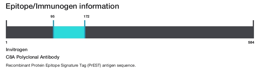 C8A Polyclonal Antibody
