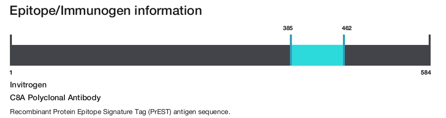 C8A Polyclonal Antibody