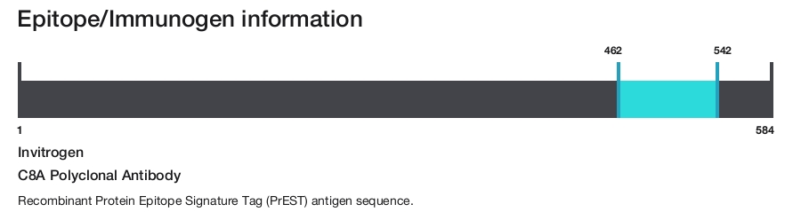 C8A Polyclonal Antibody