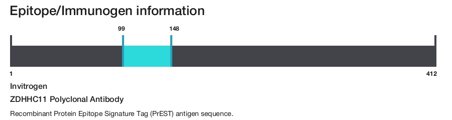 ZDHHC11 Polyclonal Antibody