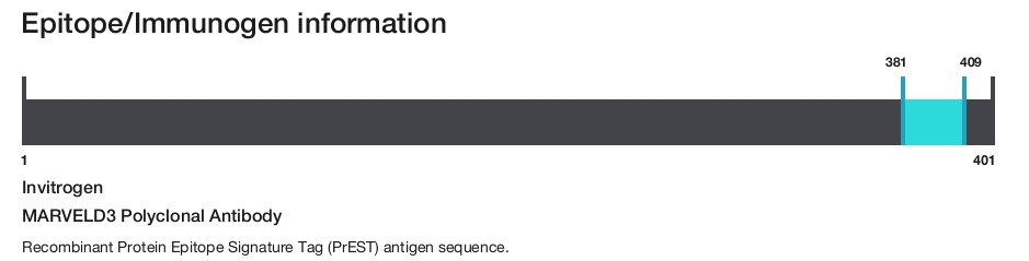 MARVELD3 Polyclonal Antibody