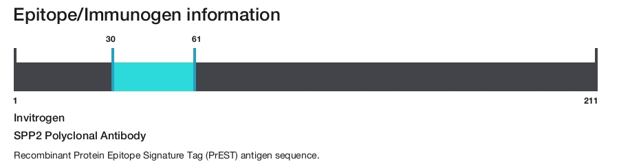 SPP2 Polyclonal Antibody