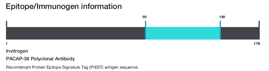 PACAP-38 Polyclonal Antibody