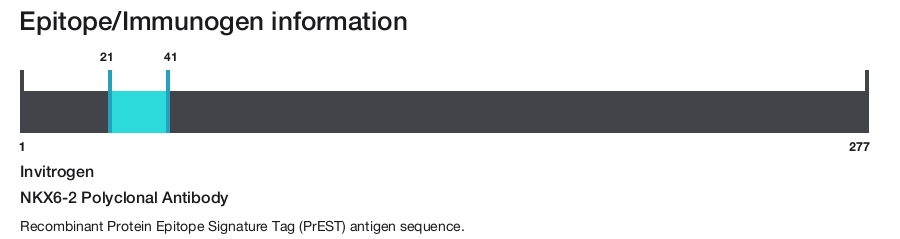 NKX6-2 Polyclonal Antibody