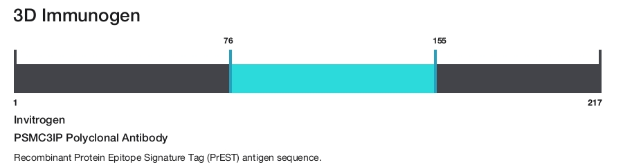 PSMC3IP Polyclonal Antibody