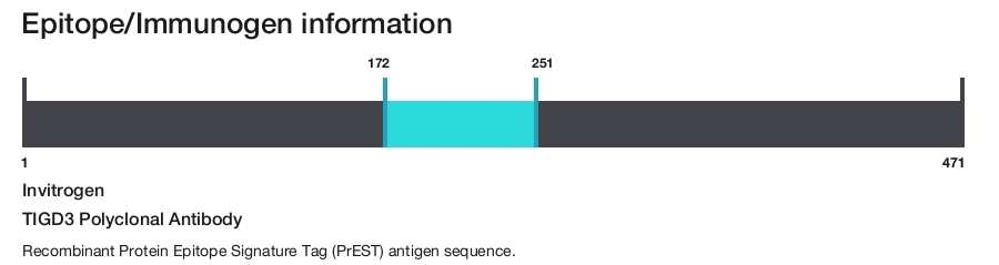 TIGD3 Polyclonal Antibody