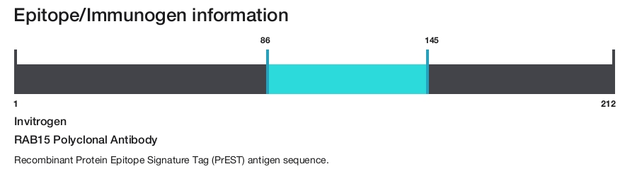 RAB15 Polyclonal Antibody