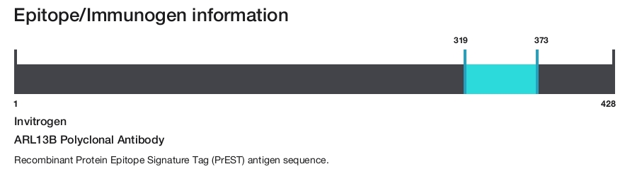 ARL13B Polyclonal Antibody