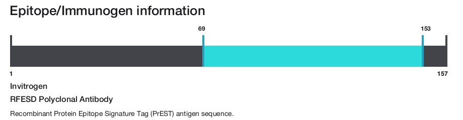 RFESD Polyclonal Antibody