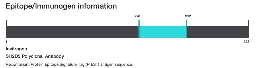 SH2D5 Polyclonal Antibody