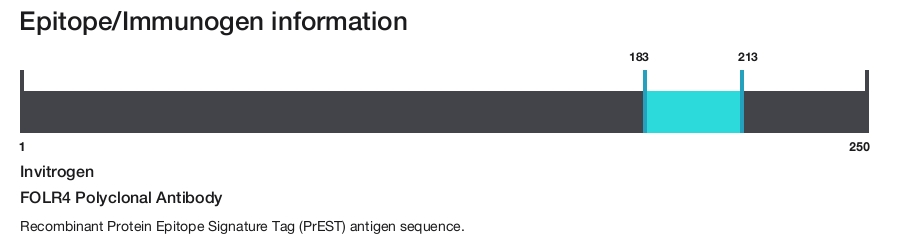 FOLR4 Polyclonal Antibody