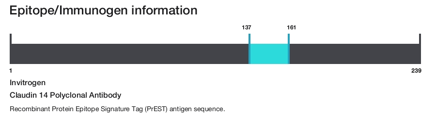 Claudin 14 Polyclonal Antibody