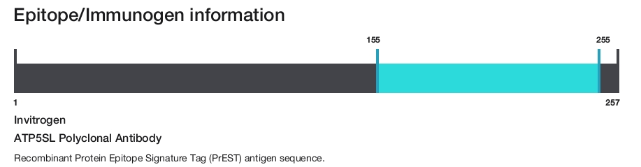 ATP5SL Polyclonal Antibody