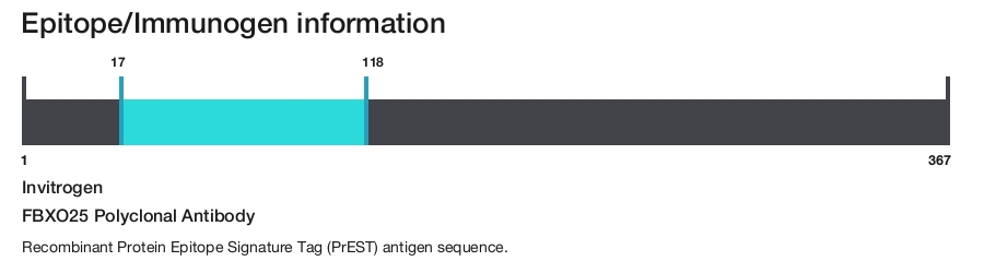 FBXO25 Polyclonal Antibody