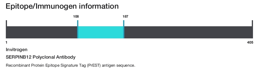 SERPINB12 Polyclonal Antibody