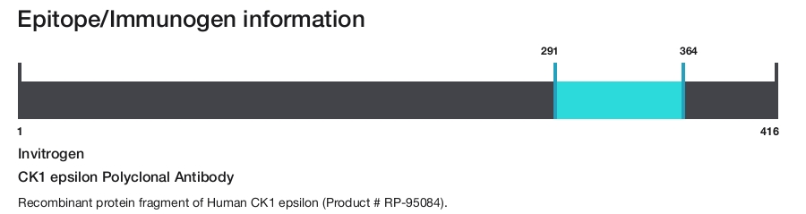 CK1 epsilon Polyclonal Antibody