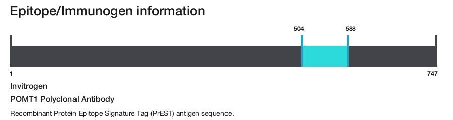 POMT1 Polyclonal Antibody