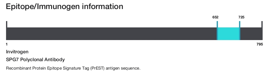 SPG7 Polyclonal Antibody