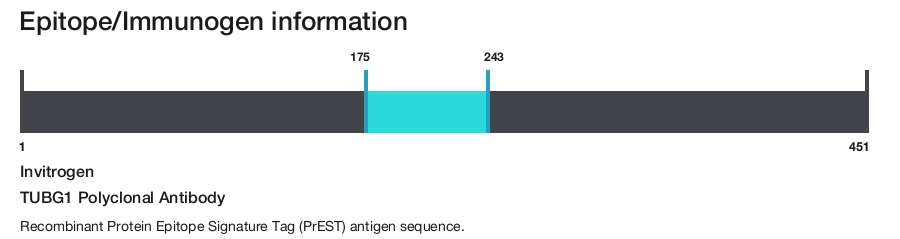 TUBG1 Polyclonal Antibody