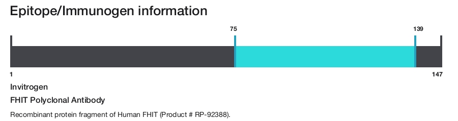 FHIT Polyclonal Antibody