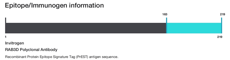 RAB3D Polyclonal Antibody