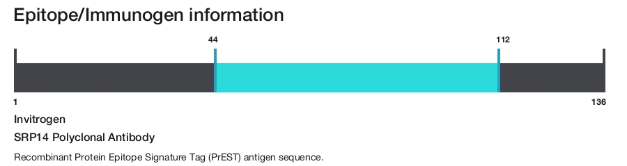 SRP14 Polyclonal Antibody
