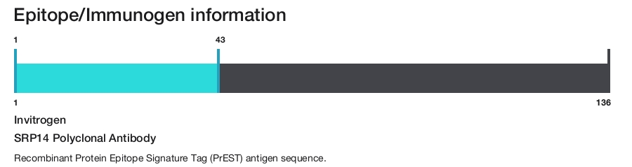 SRP14 Polyclonal Antibody