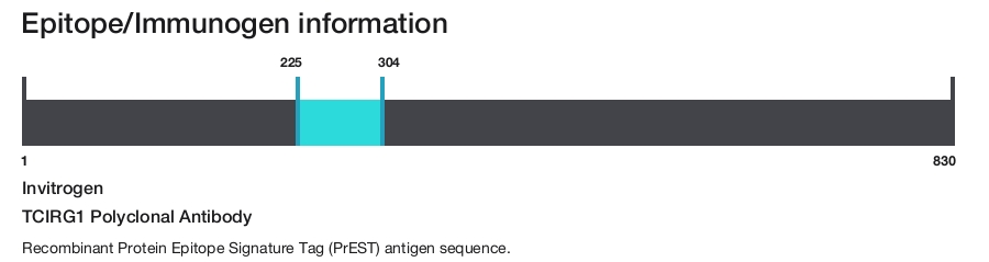 TCIRG1 Polyclonal Antibody