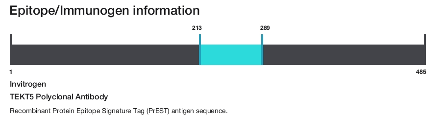 TEKT5 Polyclonal Antibody