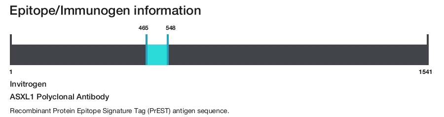 ASXL1 Polyclonal Antibody