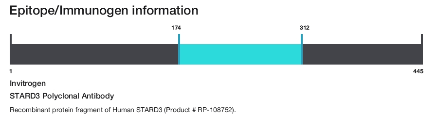 STARD3 Polyclonal Antibody