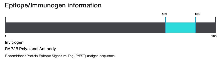 RAP2B Polyclonal Antibody