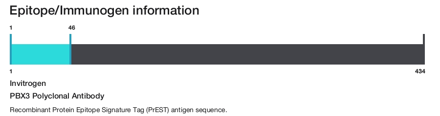 PBX3 Polyclonal Antibody