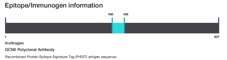 GCN5 Polyclonal Antibody