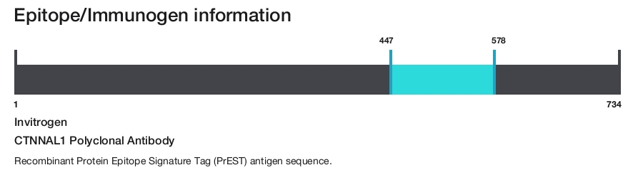CTNNAL1 Polyclonal Antibody