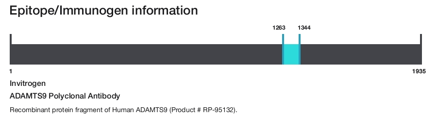 ADAMTS9 Polyclonal Antibody