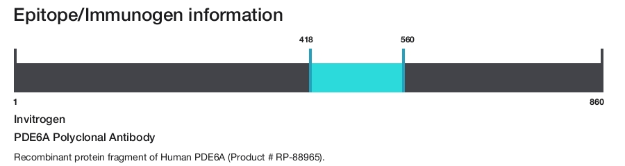 PDE6A Polyclonal Antibody