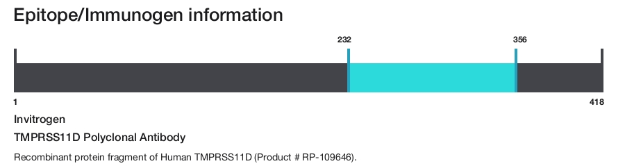 TMPRSS11D Polyclonal Antibody