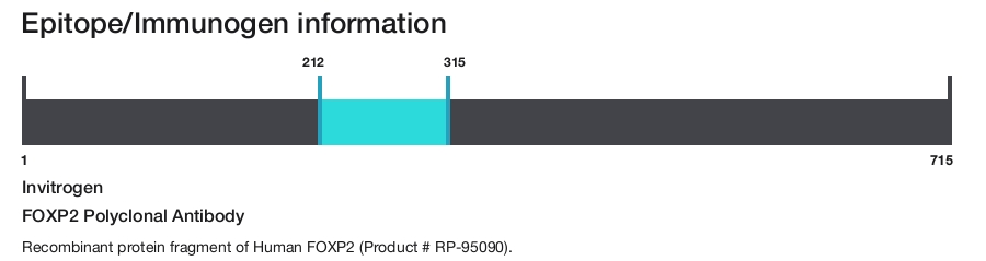 FOXP2 Polyclonal Antibody